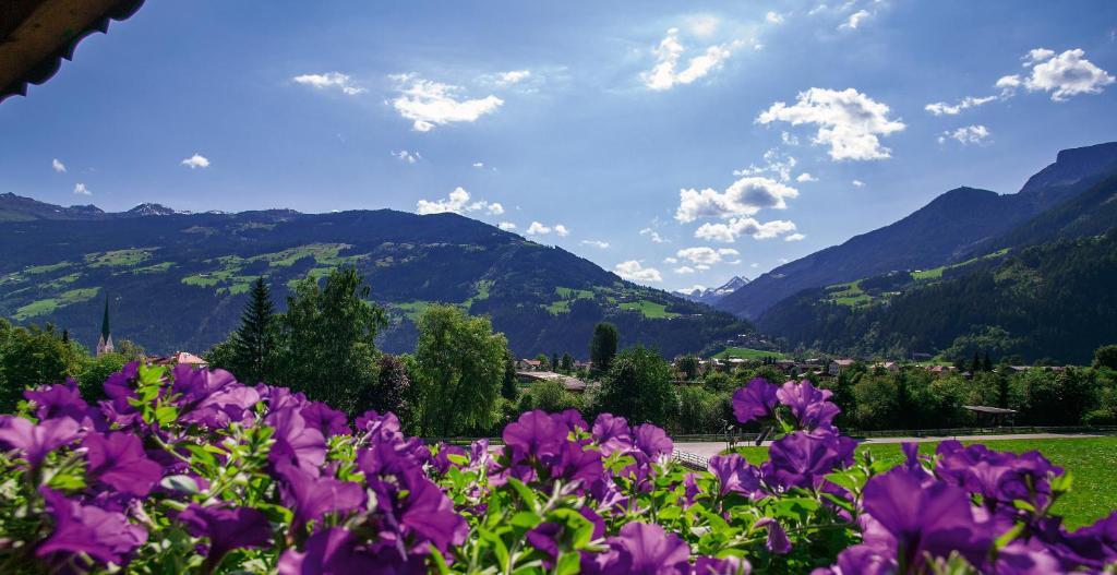 Villa Haidacher Relax & Lifestyle Apartments Zell am Ziller Kamer foto