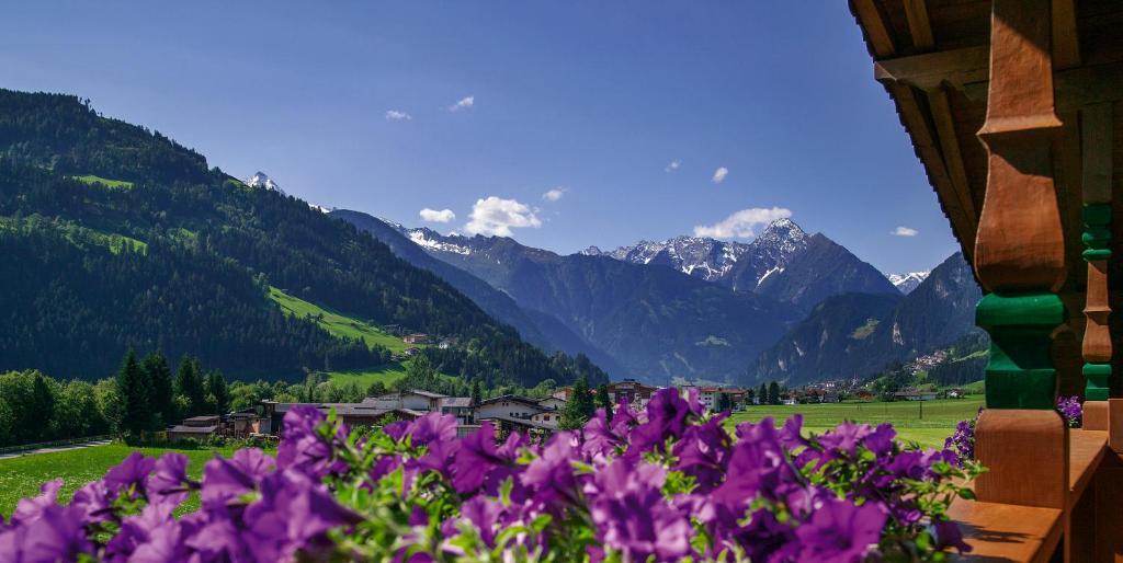 Villa Haidacher Relax & Lifestyle Apartments Zell am Ziller Kamer foto